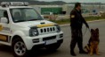 /album/fotogaleria-seguridad/vigilante-seguridad-jpg/